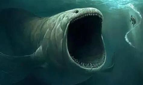 深海真实神秘巨兽