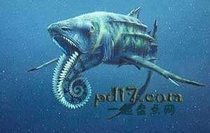 深海10000米巨兽未解之谜