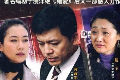 温峥嵘何政军主演的出轨电视剧
