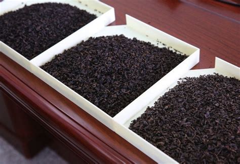温州茶叶外贸公司