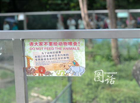 游客给动物喂食致死事件怎么处理
