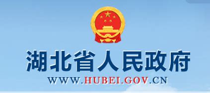 湖北省政务服务网技术支持