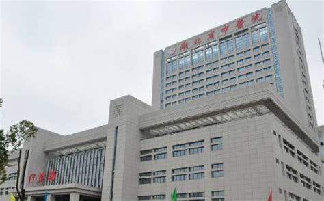 湖北省有几个中医院