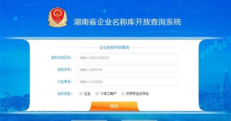 湖南企业登记网网站