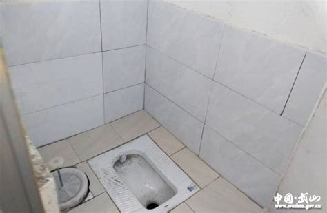 湖南农村厕所改造最后处理结果