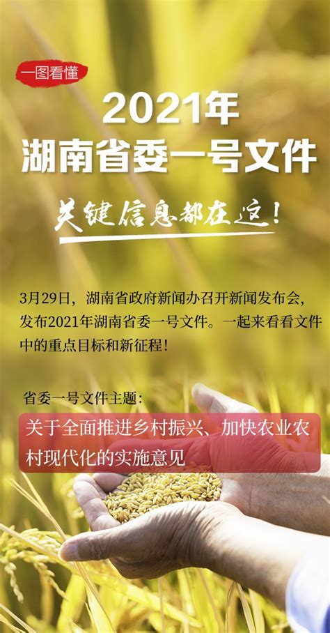 湖南省委公众信息网