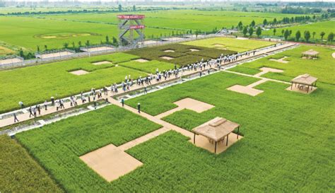 滁州农田灌溉井