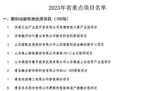 滨州2024年重点项目名单目录