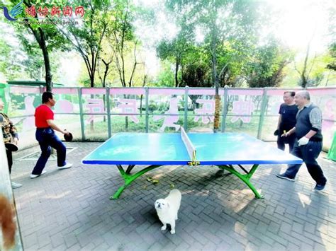 潍坊免费打乒乓球的地方