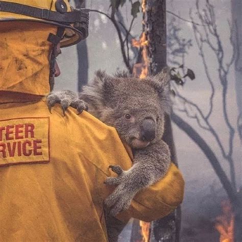 澳大利亚大火还在烧吗