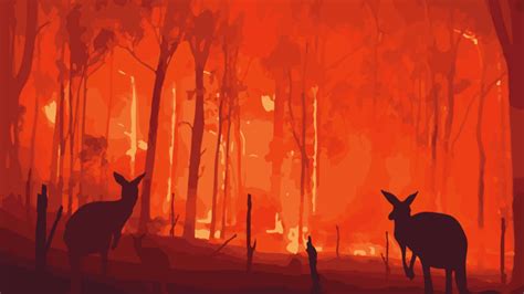 澳洲森林大火扑灭了吗