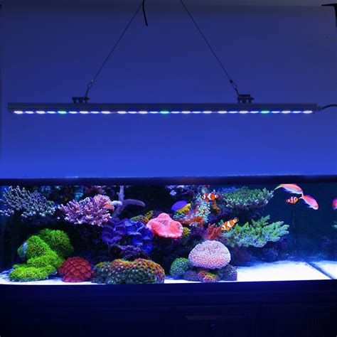 照明灯带做鱼缸