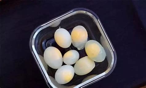 煮熟鸽子蛋图片