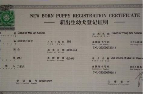 狗护照和血统证书