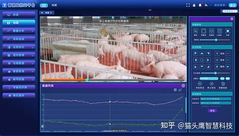 猪价系统监测数据