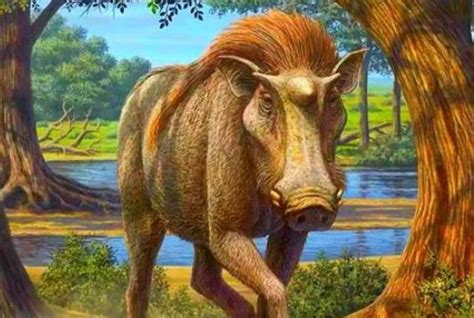 猪的祖先是什么恐龙