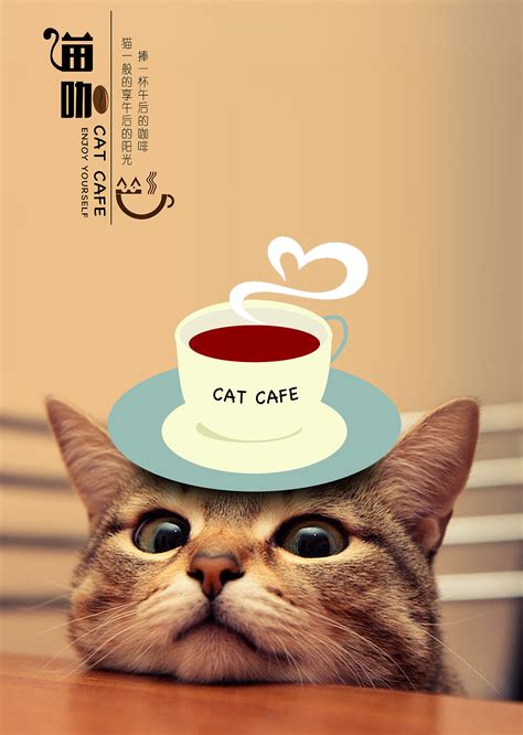 猫咖啡馆广告词