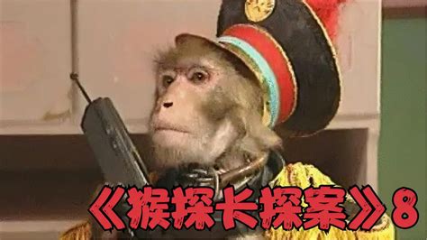 猴探长与大盗在线观看