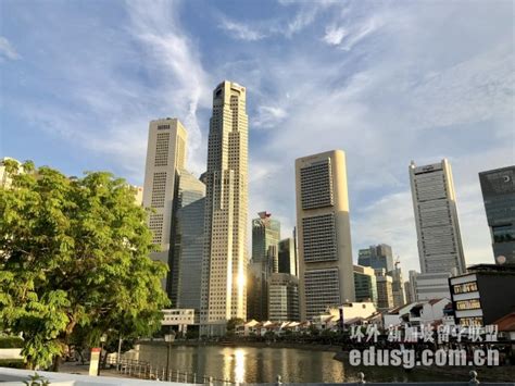 珠海新加坡留学中介费用