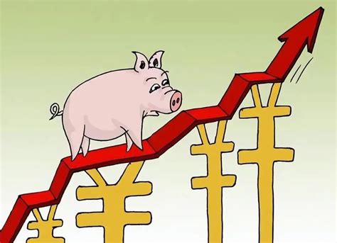 生猪价格涨停原因
