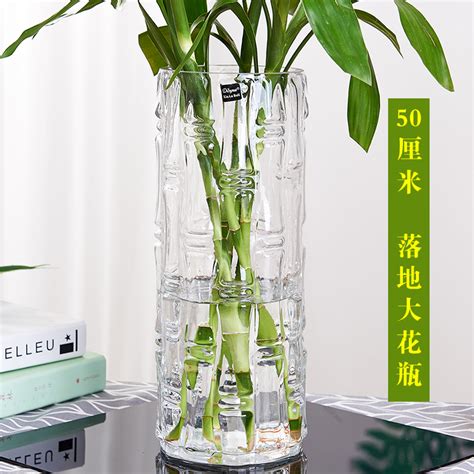 用水养富贵竹的花瓶