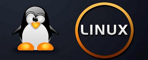 用linux开发免费网站