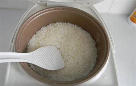 电饭锅煮糯米饭放多少水