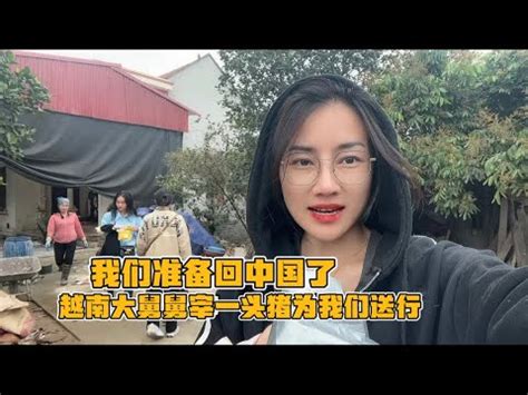 男子回国越南女友视频完整