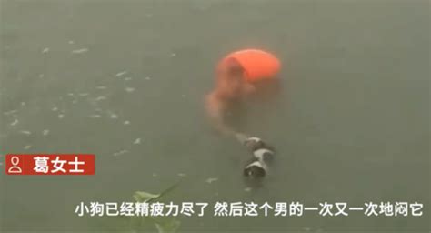 男子将狗闷入水中后续