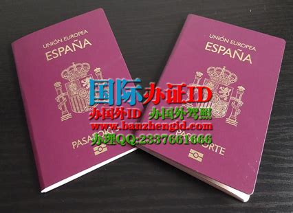 留学护照西班牙多少钱