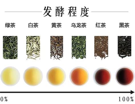 白茶的生长条件有哪些