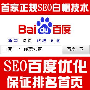 百度seo营销网站