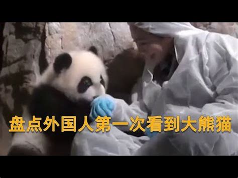 盘点外国人看到熊猫宝宝