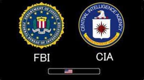 真正的fbi