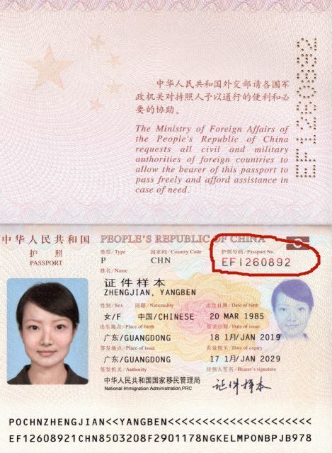 知道护照号码怎么查具体信息