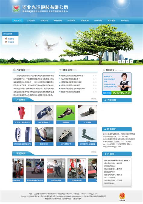 石家庄网站建设公司网络服务