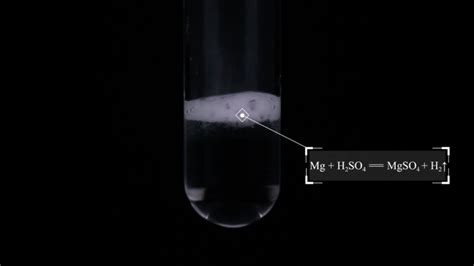 硫酸镁和硫化氢反应