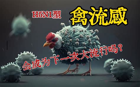 禽流感会死人吗