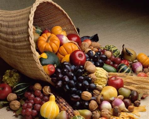 秋季养生最佳7种食物