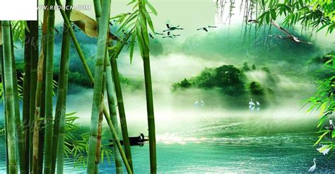 竹林流水图片