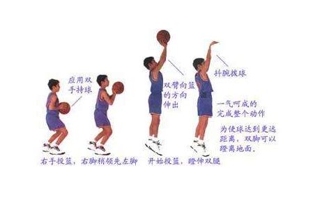 篮球基本运动知识