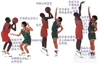 篮球姿势动作描写