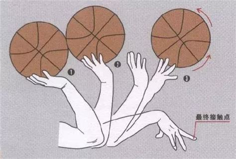 篮球投篮的正确发力和姿势教学