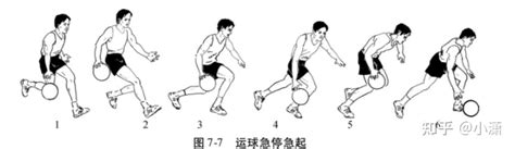 篮球的基本动作图示
