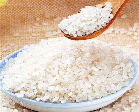 粳米是何种米