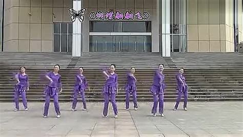 紫蝶广场舞梦高原分解动作