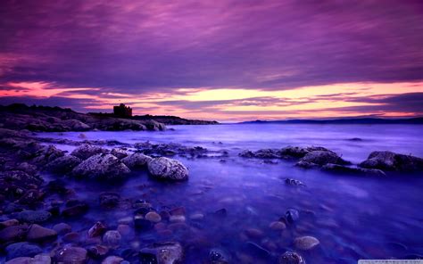 紫调风景照片