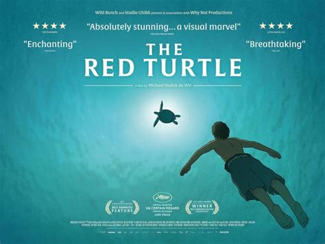 红海龟动画片免费观看