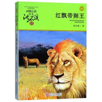 红飘带狮王读书笔记怎么写
