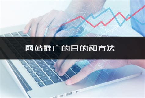 绍兴网站推广技术公司电话
